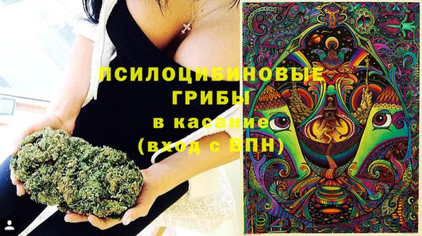 молекула духа Волосово