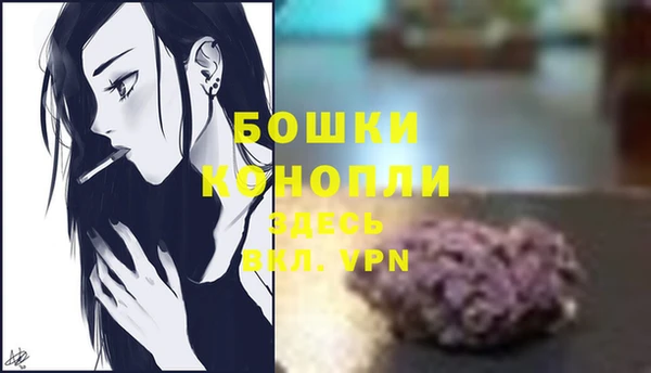 мяу мяу мука Волоколамск