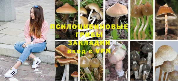 гидропоника Володарск
