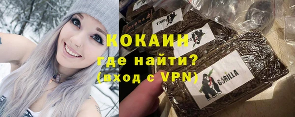 молекула духа Волосово