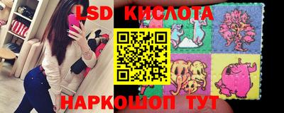дмт Камышлов