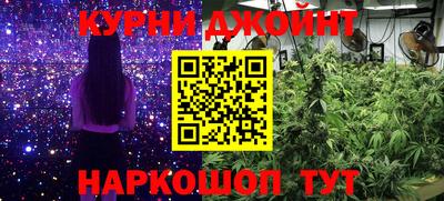 прущие грибы Канаш