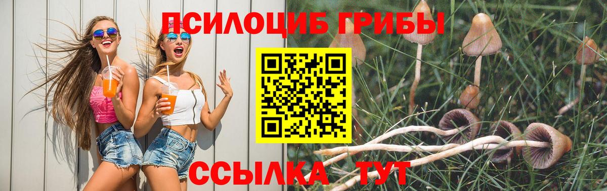 Галлюциногенные грибы Magic Shrooms Геленджик