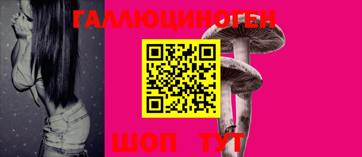 Геленджик  Галлюциногенные грибы ЛСД  Псилоцибиновые грибы мухоморы  Вход с VPN 